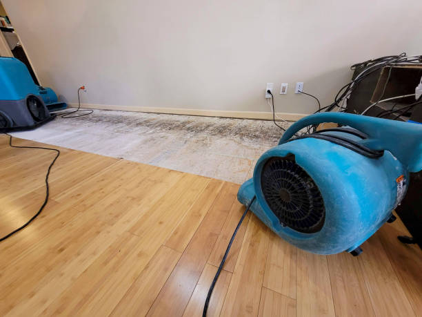 Professional Flood Damage Cleanup technician working in Port Monmouth, NJ